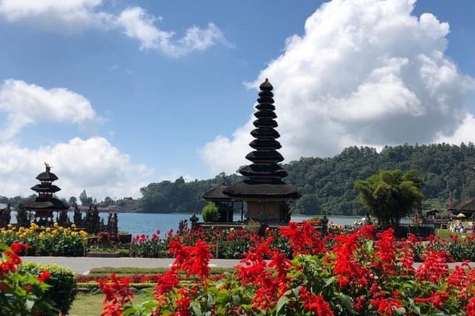 Private Jatiluwih Rice Terraces Heritage Site and Culture Tour - Banyumala Twin Waterfalls and the natural trail