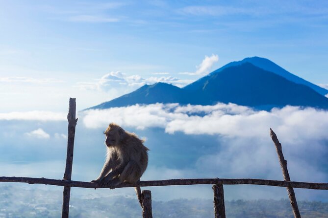 Private Mount Batur Sunrise Trekking Tour - The return walk and the end of the eight-hour day