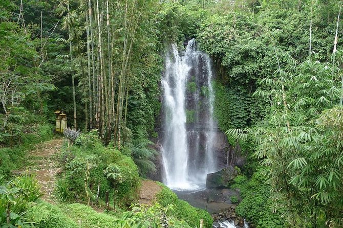 Private Munduk Waterfalls Trekking Tour - Why Munduk Makes a Better Day Trip Than Another South Bali Stop