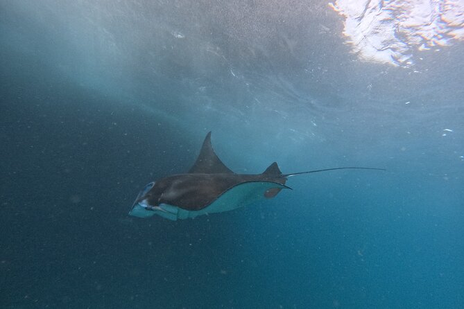 PRIVATE Nusa Penida on Boat Snorkeling & Island Tour (INCLUSIVE) - Four snorkeling sites and the search for manta rays