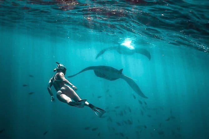 Private Sightseeing Northern East Bali All inclusive - Lunch and the practical value of an all-inclusive day