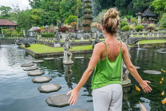 Private Sightseeing Northern East Bali All inclusive - Your driver and the private format