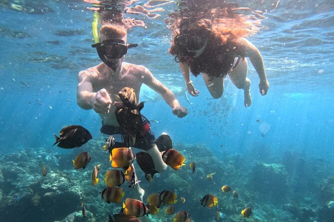 Private Snorkeling from Nusa Penida - Why this private Nusa Penida trip is appealing