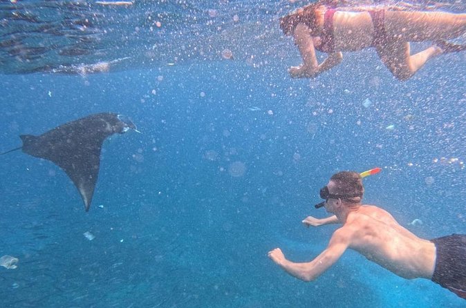 Private Snorkeling from Nusa Penida - How private service changes the experience