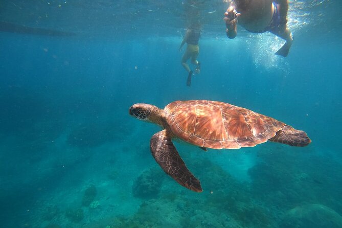Private Snorkeling in Manta Bay, Gamat Bay & Wall at Nusa Penida - Key points before you book