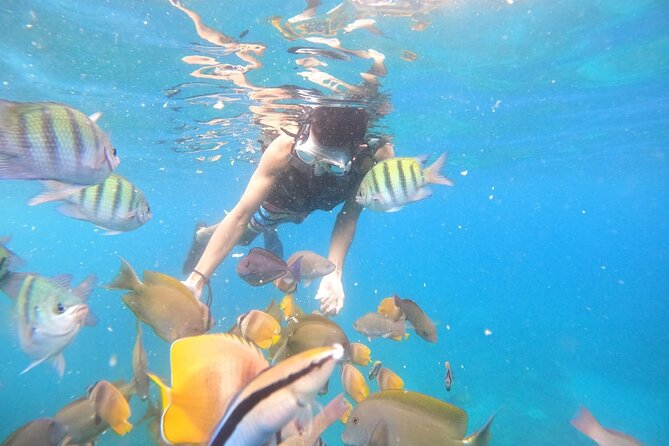 Private Snorkeling in Manta Bay, Gamat Bay & Wall at Nusa Penida - Starting from Kuta with a private transfer