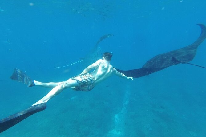 Private Snorkeling in Manta Bay, Gamat Bay & Wall at Nusa Penida - Gamat Bay for fish and underwater color