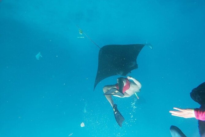 Private Snorkeling in Manta Bay, Gamat Bay & Wall at Nusa Penida - Wall Point and the route’s changing third stop