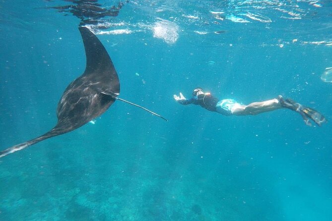 Private Snorkeling in Manta Bay, Gamat Bay & Wall at Nusa Penida - Two hours of snorkeling, six hours overall
