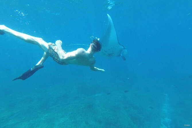 Private Snorkeling in Manta Bay, Gamat Bay & Wall at Nusa Penida - Lunch and the value of the $115 price