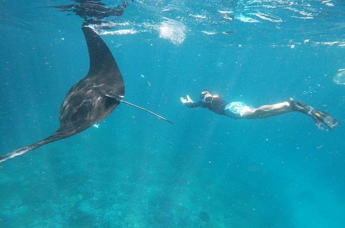 Private Snorkeling in Manta Bay, Gamat Bay & Wall at Nusa Penida - What the trip does not include