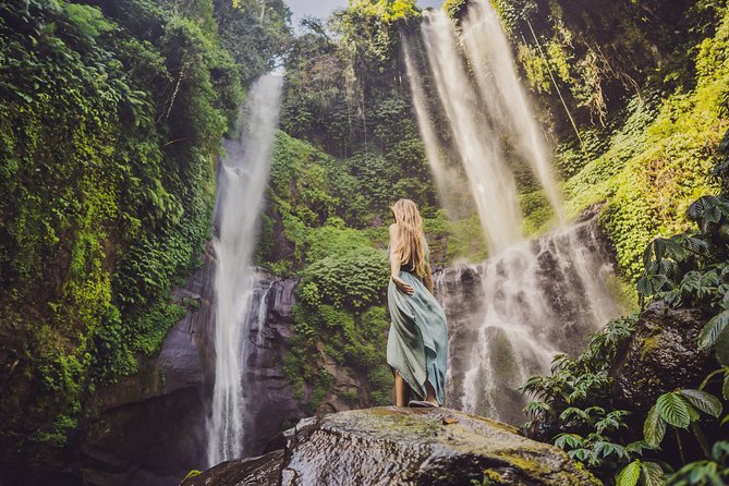 Private Tour: Amazing Sekumpul Waterfall and Ulun Danu Temple - Wanagiri’s swings, nests, and twin-lake views