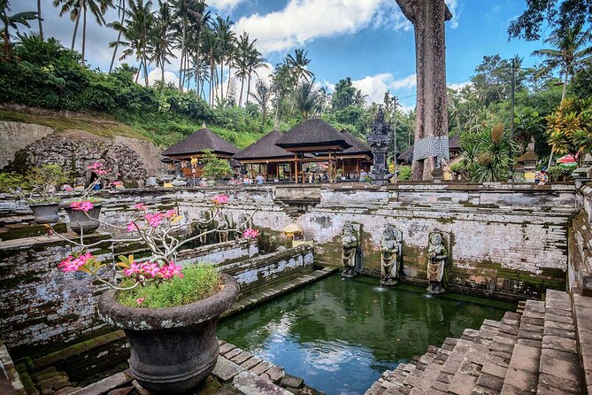 Private Tour : Bali Best Waterfalls, Temples and Monkey Forest - Elephant Cave, smaller than the name suggests