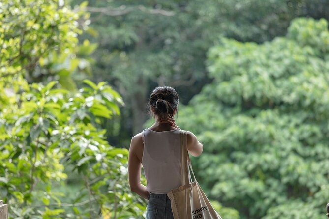 Private Tour : Bali Best Waterfalls, Temples and Monkey Forest - Why the guide can make or break the day