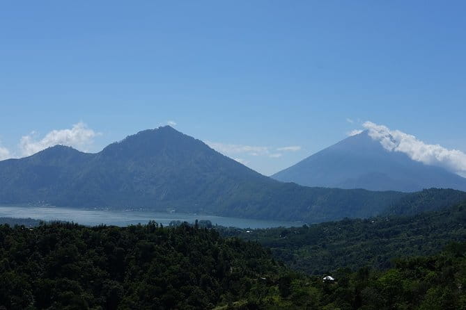 Private Tour: Bali Heritage Sites - What this full-day Bali tour is trying to do