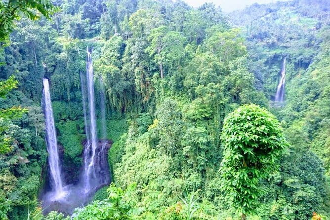 Private Tour: Bali Heritage Sites - Artisan villages outside Ubud
