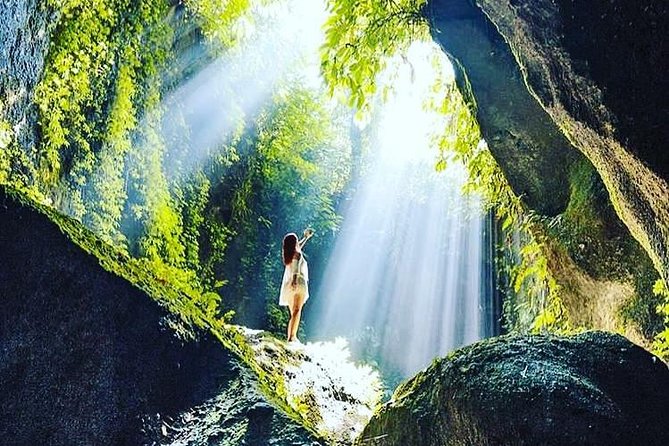 Private Tour: Bali in a Day - Tegalalang Rice Terrace: the classic Ubud finish