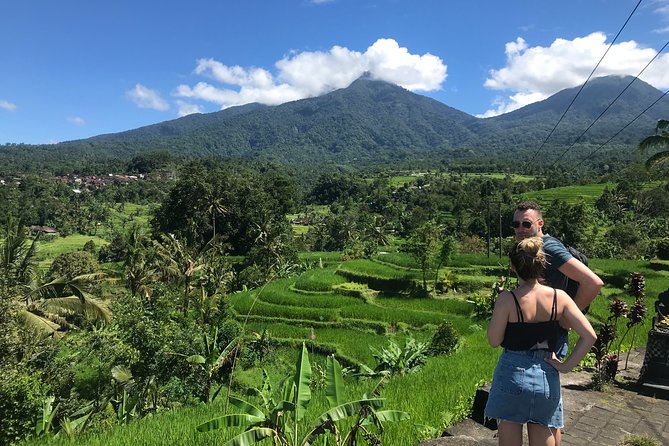 Private Tour: Bali Temple and Countryside Tour - Why this private day trip works