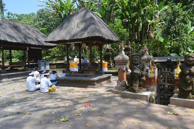 Private Tour: Bali Temple and Countryside Tour - What to pack for the highlands