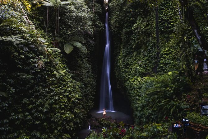 Private Tour: Bali Temples, Hidden Waterfall and Handara Gate - Bedugul lunch stop, flexible but not included