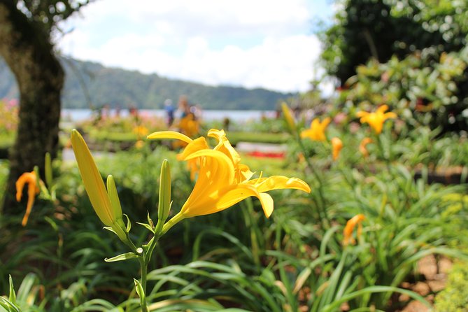 Private Tour: Bali Temples, Hidden Waterfall and Handara Gate - Ulun Danu Beratan beside the mountain lake