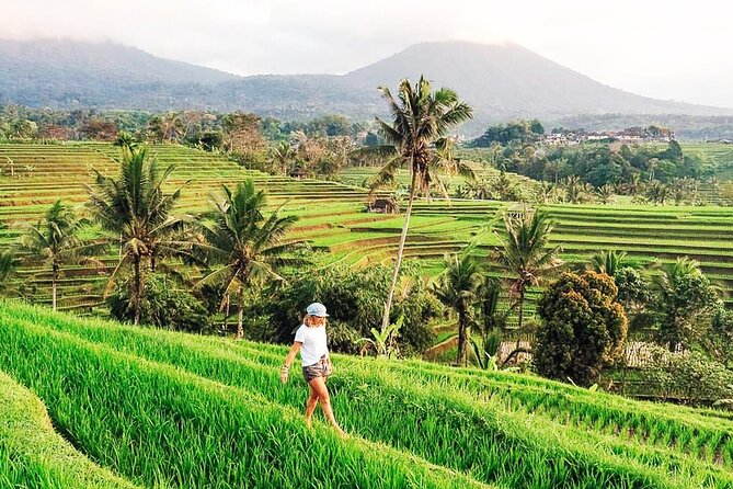 Private Tour: Bali UNESCO World Heritage Sites - Wanagiri Hidden Hills: Bali’s twin-lake viewpoint