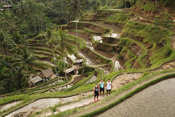 Private Tour: Bali Volcano with Jungle Swing Experience - Gunung Kawi Sebatu Temple: A Quieter Cultural Pause