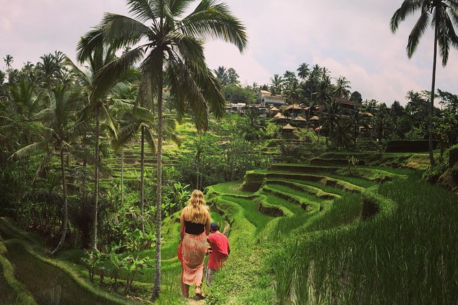 Private Tour: Balinese Culture and Scenery (visit ubud area) - Mount Batur begins the day with a volcano view