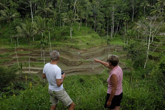 Private Tour: Balinese Culture and Scenery (visit ubud area) - Is $65 good value for a full day?