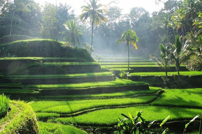 Private Tour: Batuan Temple, Tegenungan Waterfall, Elepahant Cave Free transport - Ubud Traditional Art Market and the question of shopping