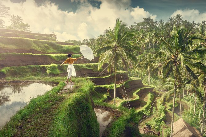 Private Tour: Best of Bali - All Inclusive Tickets - What the $62 Price Really Buys You