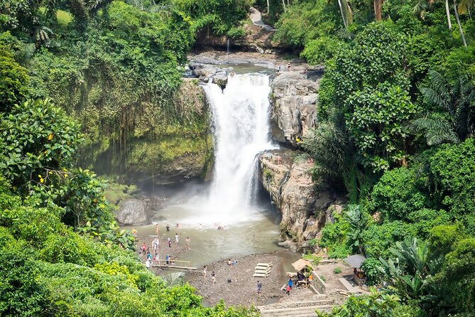 Private Tour: Best of Bali - All Inclusive Tickets - Tegalalang Rice Terrace in 45 Minutes