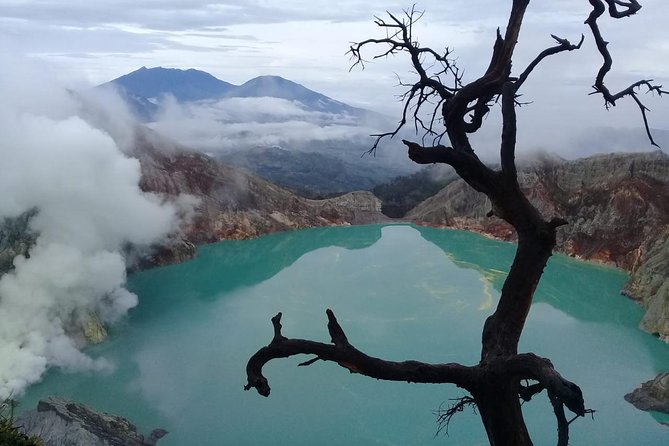 Private Tour : Bromo Ijen Tour From Bali - Key points to know before booking