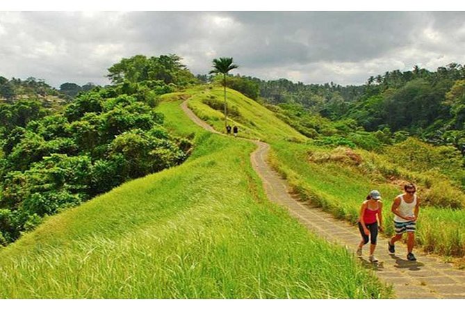 Private Tour: Campuhan Ridge Walk, Ubud Rice Terrace & Ubud Palace - Key details at a glance