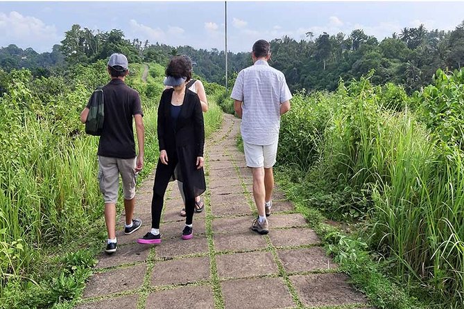 Private Tour: Campuhan Ridge Walk, Ubud Rice Terrace & Ubud Palace - Reading the stepped fields at Ceking Rice Terrace