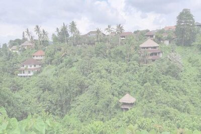 Private Tour: Campuhan Ridge Walk, Ubud Rice Terrace & Ubud Palace