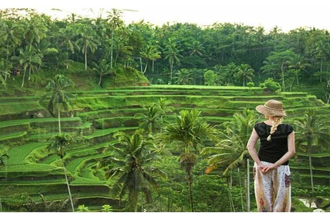 Private Tour: Campuhan Ridge Walk, Ubud Rice Terrace & Ubud Palace - Entering Ubud Palace after the countryside