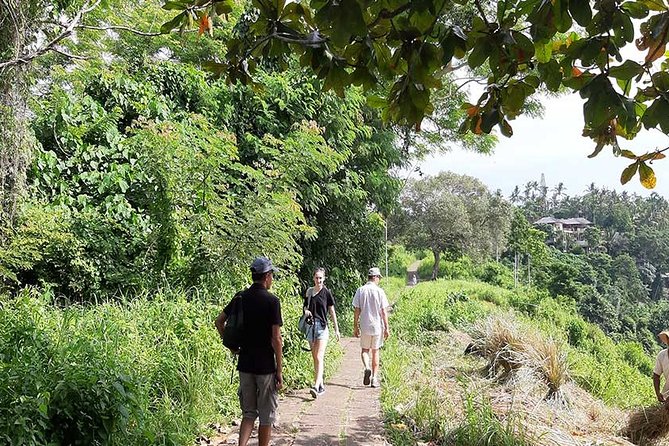 Private Tour: Campuhan Ridge Walk, Ubud Rice Terrace & Ubud Palace - Shopping at Ubud Traditional Art Market