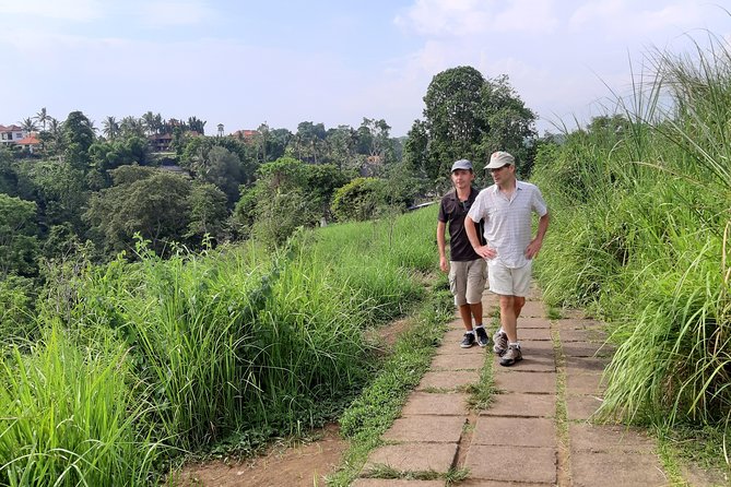 Private Tour: Campuhan Ridge Walk, Ubud Rice Terrace & Ubud Palace - What the $25 price really delivers