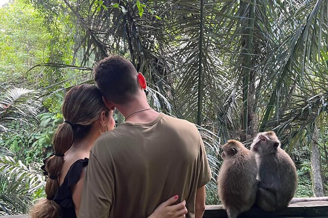 Private tour, discover the beauty of bali - What this private Bali tour is trying to do