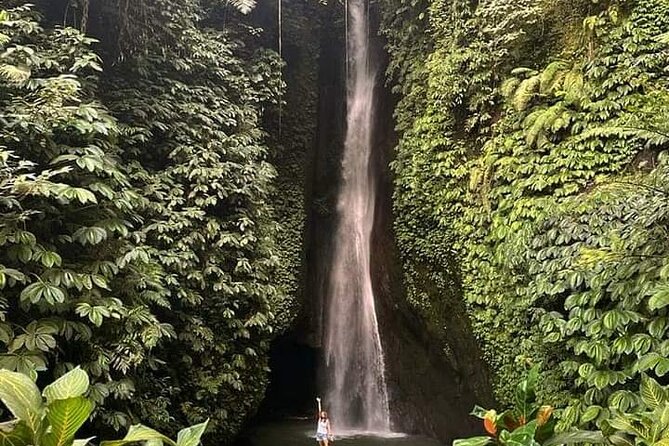 Private tour, discover the beauty of bali - Who should choose this itinerary?