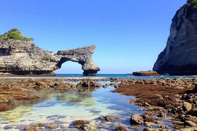 Private tour : East of Nusa Penida Day Tour All-inclusive - The Molenteng tree house