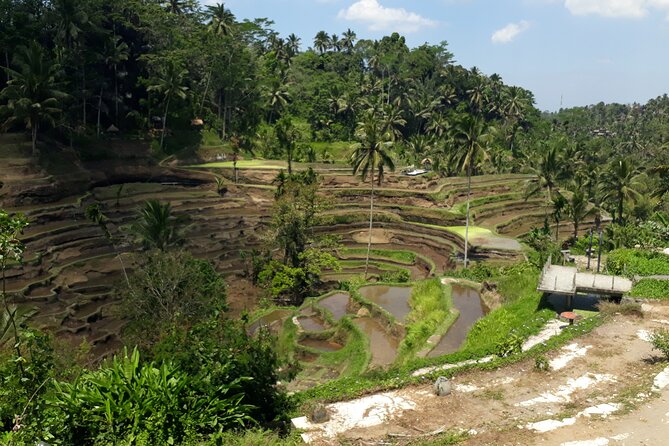Private tour in Ubud country side - Leaving Kuta for Ubud