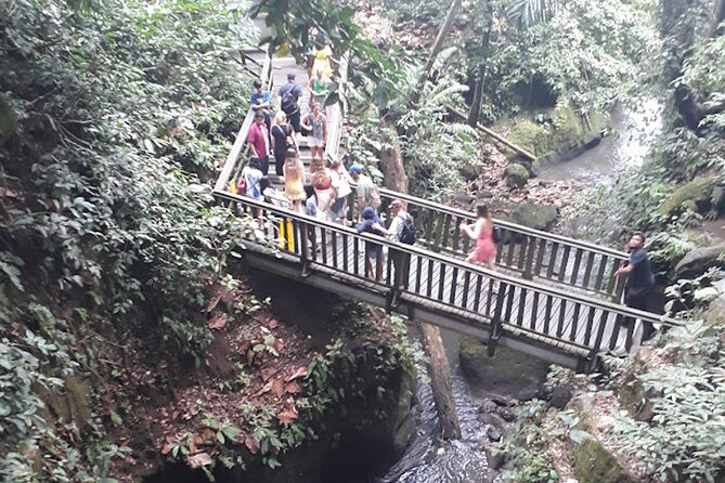 Private tour in Ubud country side - The Bali Swing at Happy Swing Bali