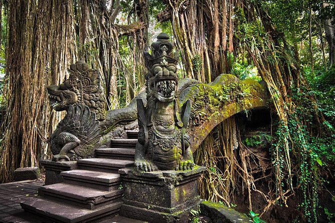 Private tour in Ubud country side - What the private guide adds