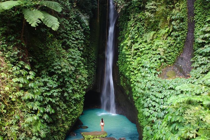 Private Tour: Leke-Leke Waterfall, Handara gate & Iconic Temples - Key points to know before you book