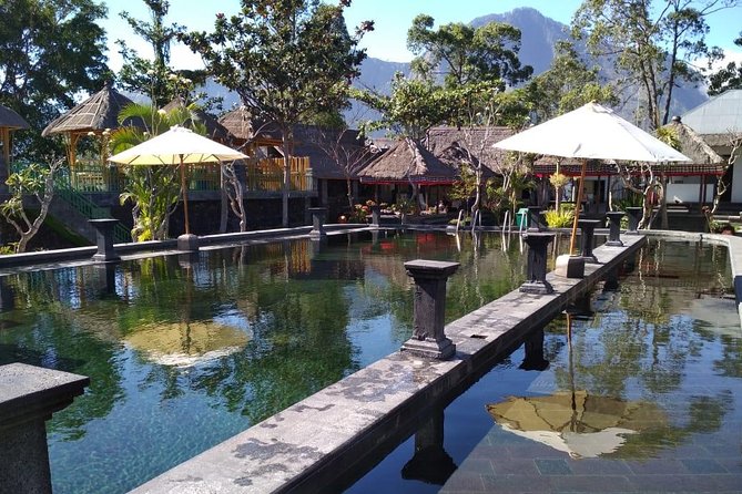 Private Tour Mount Batur Sunrise Trekking and Natural Hot Spring - The ride back to your hotel