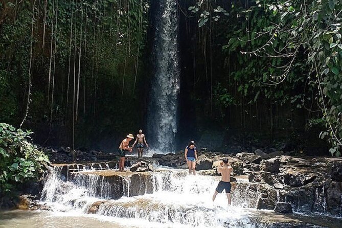 Private Tour to Sumampan Waterfall, Monkey forest, Rice terraces and Swing - Ubud Market and Traditional Painting