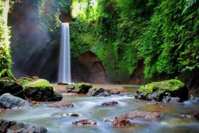 Private Tour To Tibumana Waterfall, rice terraces & Jungle Swing