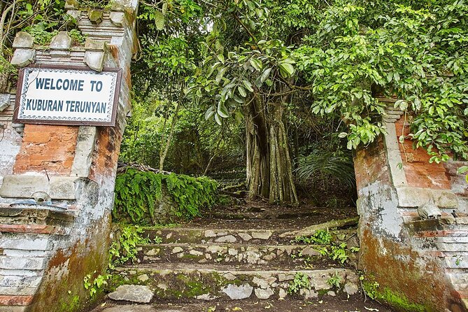 Private Tour to Trunyan Village "Skull Island of Bali" - The real drawbacks: roads, time, and mixed packages